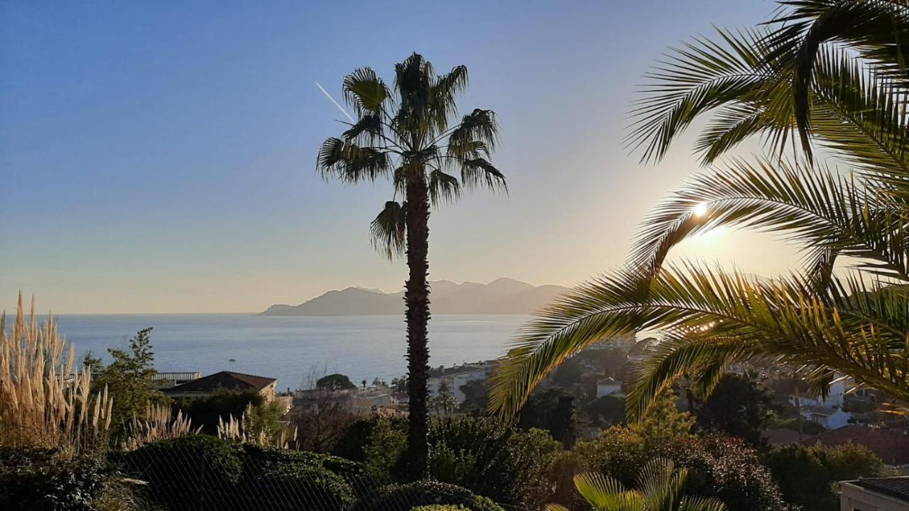 Cannes & More Ngoại thất bức ảnh