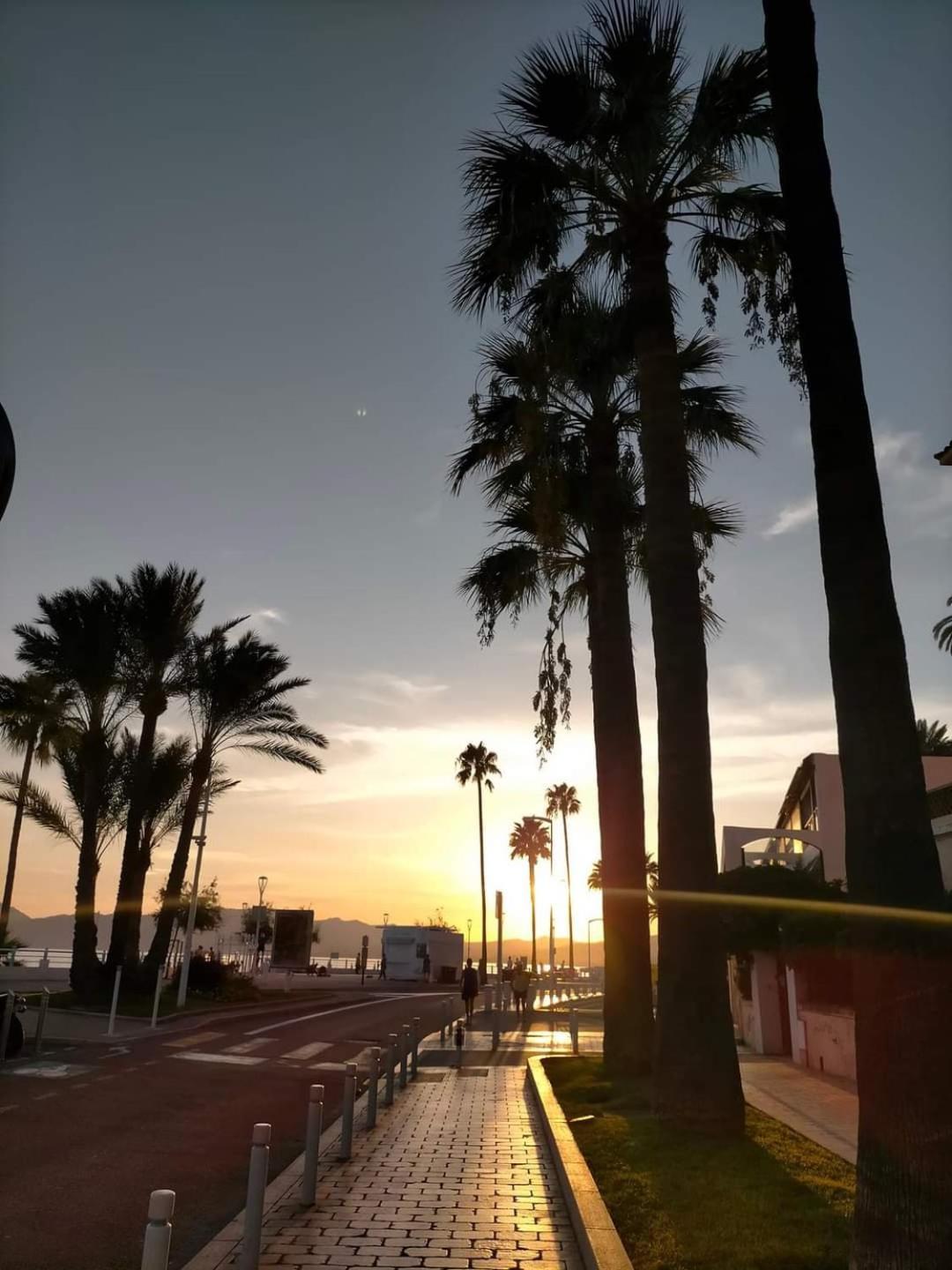 Cannes & More Ngoại thất bức ảnh